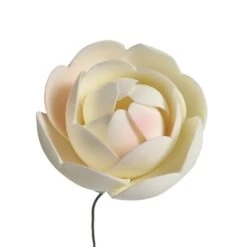 Culpitt Gumpaste Ranunculus Flowers 40mm