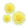 Culpitt Ombre Yellow Sugar Soft Roses - Mixed Pack Of 38mm, 50mm, 63mm - Boxed 12 -Wilton Shop culpitt ombre yellow sugar soft roses mixed pack of 38mm 50mm 63mm boxed 12 p9018 34625 image