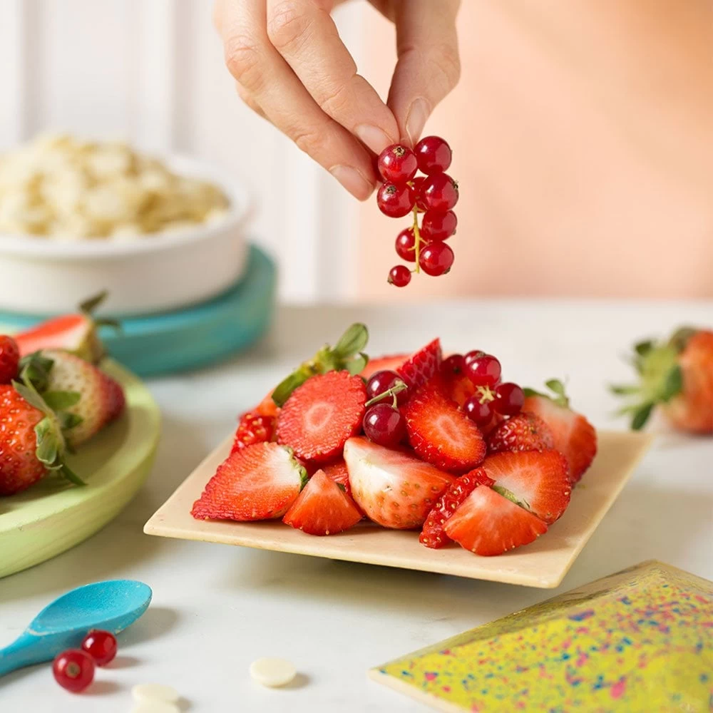 Decora Square Dish Polycarbonate Chocolate Mould - 2 Cavities Decora Square Dish Polycarbonate Chocolate Mould - 2 Cavities -Wilton Shop decora square dish polycarbonate chocolate mould 2 cavities p15871 55291 image