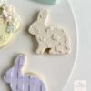 Oh My Cookie Rabbits And Flowers Background Cookie Stamp -Wilton Shop oh my cookie rabbits and flowers background p17154 61323 image