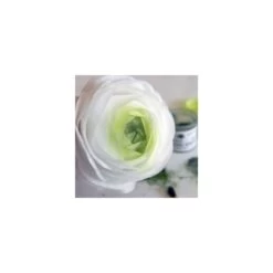 Saracino Bulk Pack Of 100 - Premium Edible Wafer Paper (Thickness: 0.3mm) -Wilton Shop saracino bulk pack of 100 premium edible wafer paper thickness 0 3mm p3917 17847 image