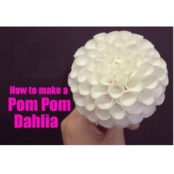 Zee Chik Designs Pom Pom Dahlia Cutter 9x6 Cm + Former Set -Wilton Shop zee chik designs pom pom dahlia cutter 9x6 cm former set p8388 33156 image